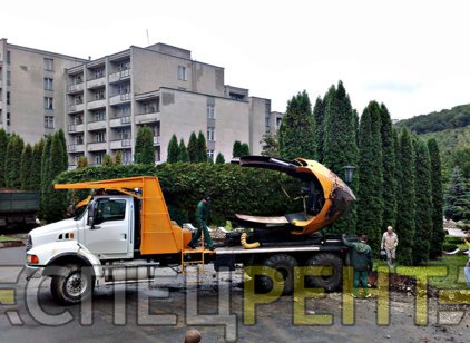 FORD для пересадки деревьев FORD для
пересадки